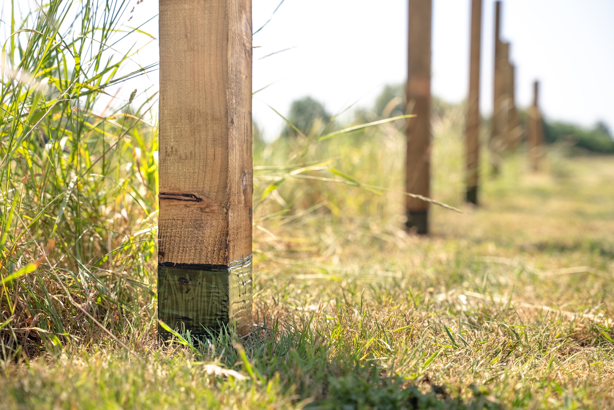 Close-up of a wooden fence post in the ground showing a Postsaver rot prevention sleeve fitted at the critical ground-line section.